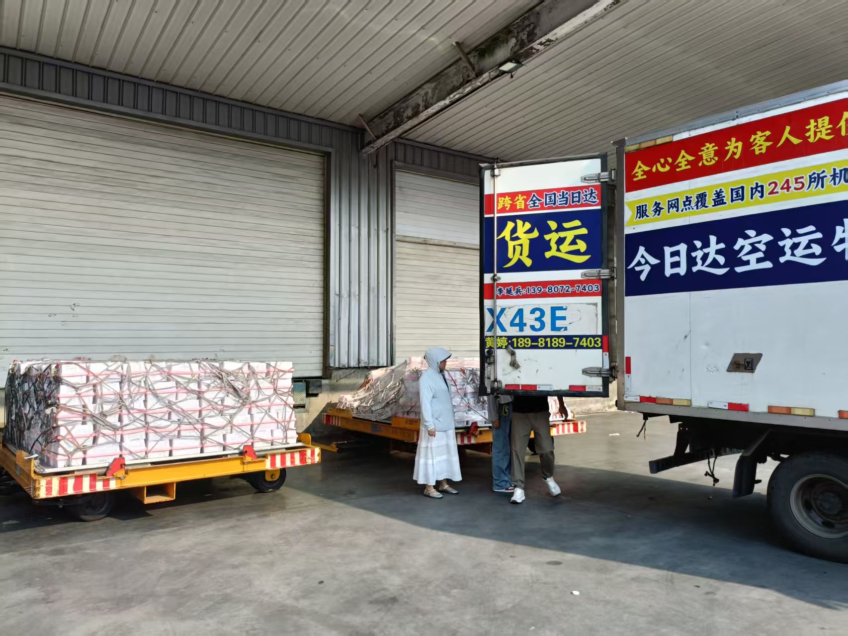 ​900件西梅鲜果进港取派